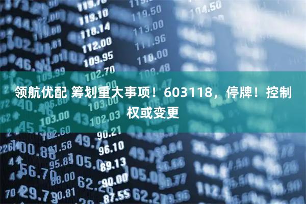 领航优配 筹划重大事项！603118，停牌！控制权或变更